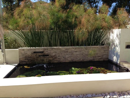 Southern California Water Feature Design | Build 11